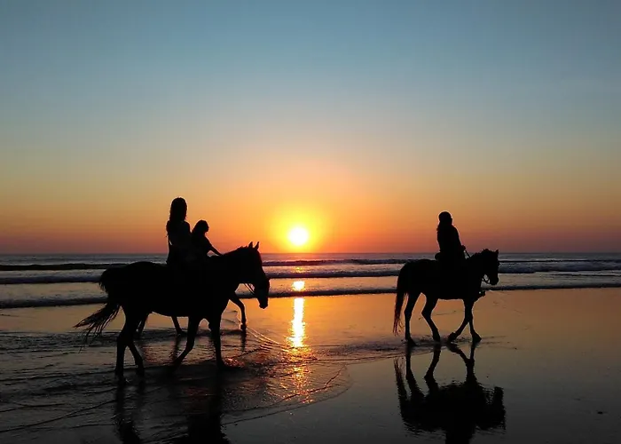 Ayla D - Lovely Ocean View In Flamingo *